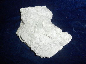 瓷土的意思和造句