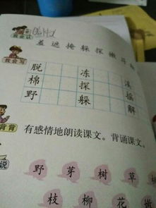 遮可以组什么词 二年级，疑可以组什么词