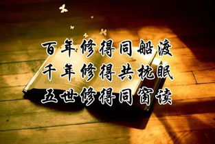 再过二十年我们来相会你一堆我一堆，再过二十年我们来相会歌曲