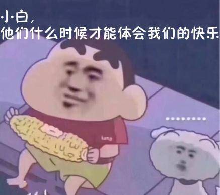 见怪是什么意思