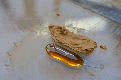 找碴怎么读，找碴游戏排行