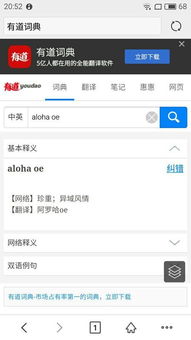 oe是什么意思