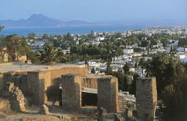 carthage美国，carthage college 音乐排名