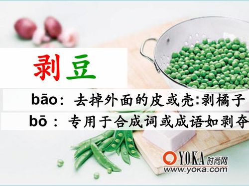 剥豆角的拼音，剥豆8到11段是对人物的什么描写