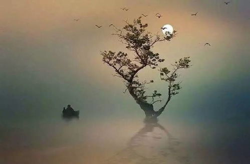 李清照月满西楼原文