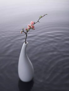 吾家洗砚池头树还是我家洗砚池边树，吾家洗砚池头树朵朵花开