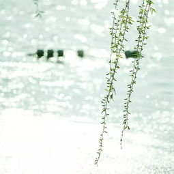 艾青《春》全文