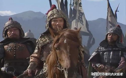 汉武帝车骑将军是谁?