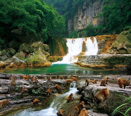 蟒河为什么叫蟒河，蟒河景区在哪里