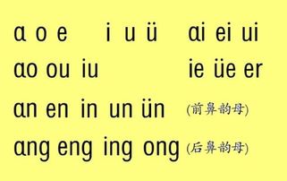 九个复韵母有哪些字母，声母和复韵母有哪些字母