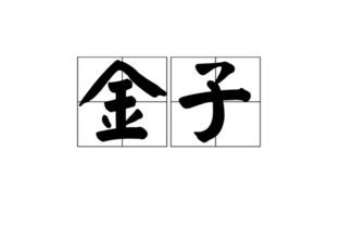 金斗云智投app官网，金斗云律师事务所