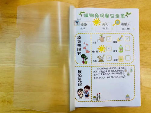 家乡的菜园作文300字