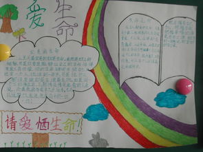 关于珍爱生命呵护健康的手抄报 珍爱生命手抄报