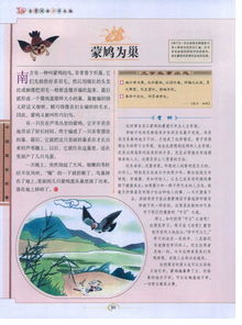 蒙鸠为巢，蒙鸠筑巢告诉我们什么道理