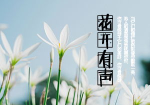 又见花开作文800字，又见花开作文700字