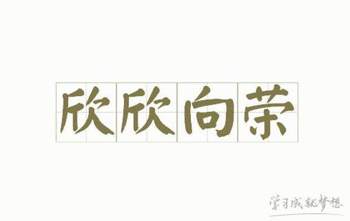 欣欣向荣造句形容事业，欣欣向荣的意思