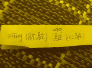 脏组词和拼音字，的,多音字组词
