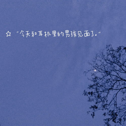 有诗意的追星文案长句，有诗意的追星文案长文
