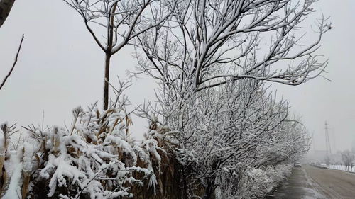 南雪多功能体检机，南雪祛痘霜多少钱