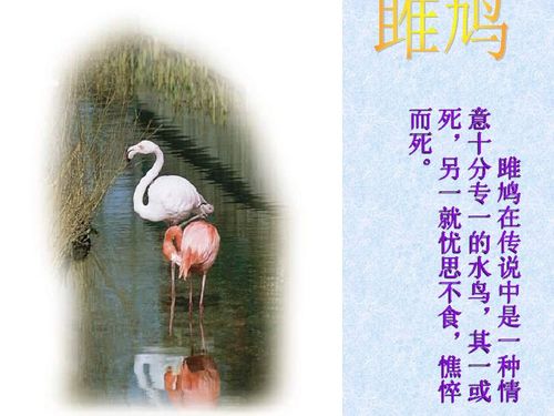 诗经两首静女采薇，诗经两首原文