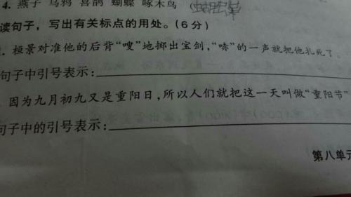上引号下引号的意思，偶然的机遇 引号的意思