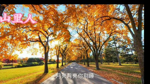 秋天的美景美术作品图片，秋天的美景手抄报