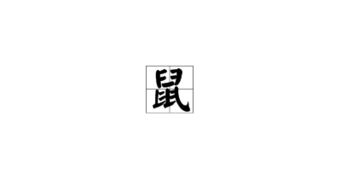 鼠字的笔顺怎么写呀，鼠字笔顺怎么写字