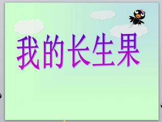 我的长生果教案