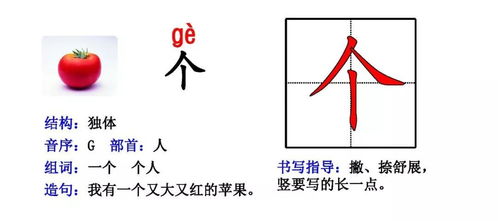 红组词造句一年级下册，红组个词再造个句子
