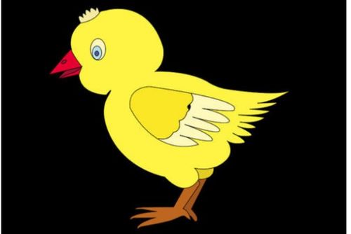 chicken的复数形式要加s吗，chicken的复数形式怎么写为什么