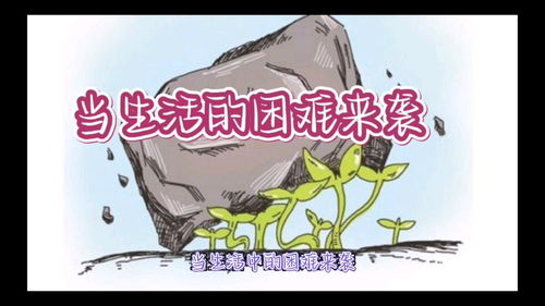 生活中的困难英语作文，生活中的困难作文400字