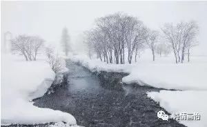 雪景作文400字左右四年级，雪景作文400字左右用五感来形容