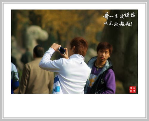 求字体 在线识别字体，求字体网站的功能包括