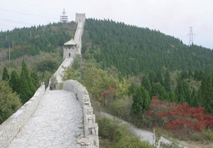 北京 上海 海滨 海口 博山 7月2日的天气