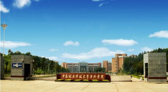 中南林业科技大学涉外学院专升本，中南林业科技大学涉外学院开学时间