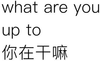 bring的意思，square的意思
