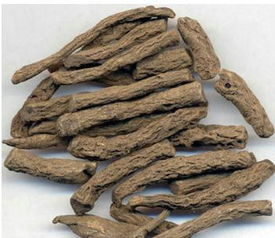 仙茅怎么吃才壮阳，仙茅怎么吃才增粗大