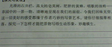 初一课文春课文讲解视频，初一课文语文下册