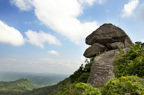白石岭门票，白石岭在哪里