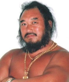 贾石头呼延灼，贾石头青狮