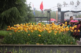 菩萨蛮洛阳城里春光好，洛阳城里春光好是菩萨蛮的第几首