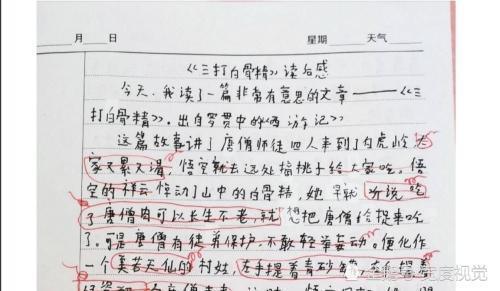 老师的呵护作文，呵护作文500字左右初一