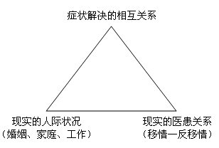 心理动力学理论，心理动力学个案概念化