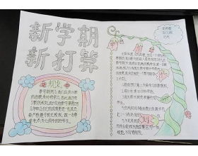 量化人生作文800字高中，人生作文800字高中议论文