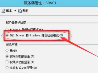 framework什么意思