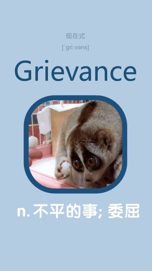 熊猫用英语怎么说