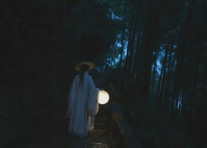 夜阑卧听风吹雨的意思，夜阑卧听风吹雨,铁马冰河入梦来全诗