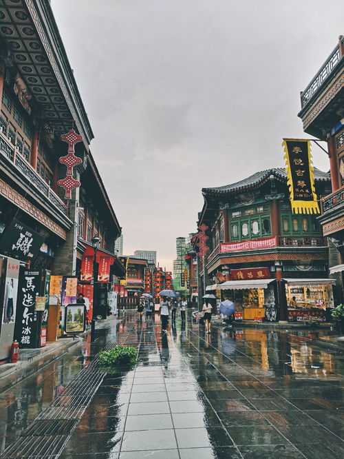 火烧圆明园观后感精选6篇500字