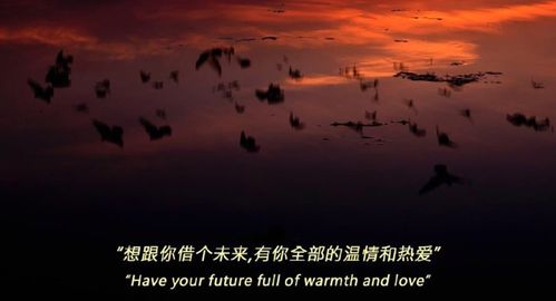 淋漓尽致的成语解释