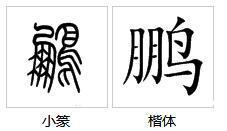 鹂组词组，彭组词